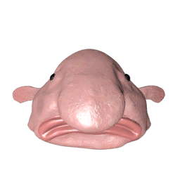 Datei:Item blobfish.png