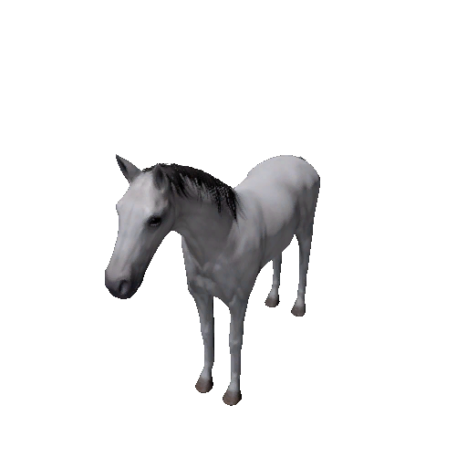 Datei:Npc foal 9.png
