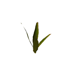 Datei:Item saplingcorn.png