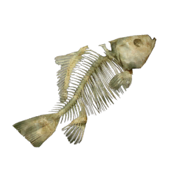 Datei:Item fishbone.png