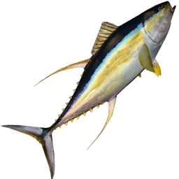 Datei:Item tuna.png
