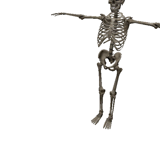 Datei:Npc skeleton 1.png