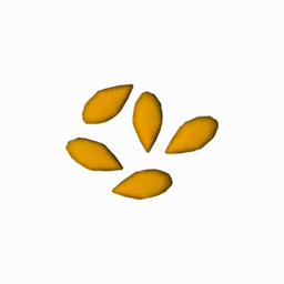Datei:Item pumpkinseeds.png