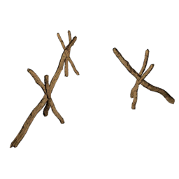 Datei:Object skewer.png