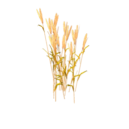Datei:Plant wheat.png