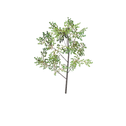 Datei:Item saplingbirch.png