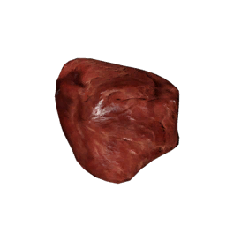 Datei:Item turtlemeat.png
