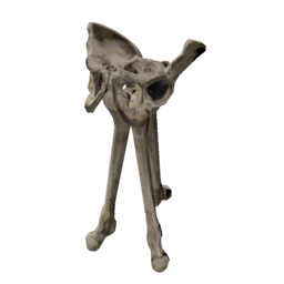 Datei:Object bonetorch.png
