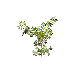 Datei:Item sapling.png