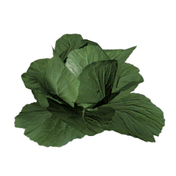 Datei:Item lettuce.png