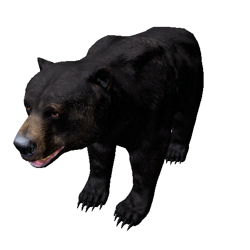 Datei:Npc bear 1.png