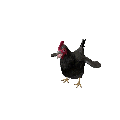 Datei:Npc chicken 2.png