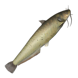 Datei:Item catfish.png