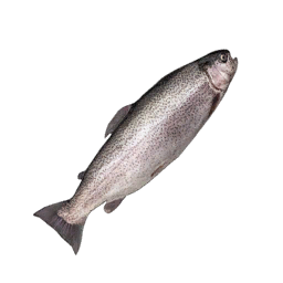Datei:Item trout.png