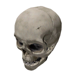 Datei:Clothing maskskull.png