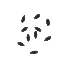 Datei:Item watermelonseeds.png