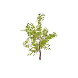 Datei:Item saplingwillowoak.png