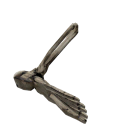 Datei:Object boneleg.png