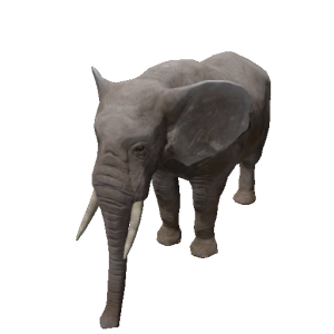 Npc elephant 0.png