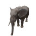 Npc elephant 0.png