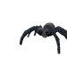 Npc spider 0.png