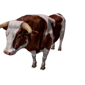 Npc bull 1.png