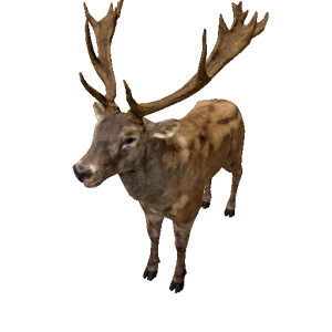 Npc deerred 0.png