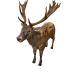 Npc deerred 0.png