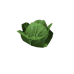 Plant lettuce s1.png