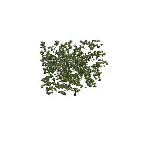 Plant duckweed.png