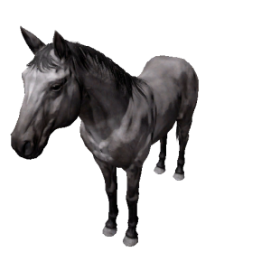 Npc horse 3.png