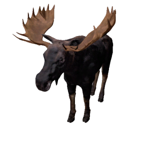 Npc moosebull 0.png