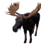 Npc moosebull 0.png