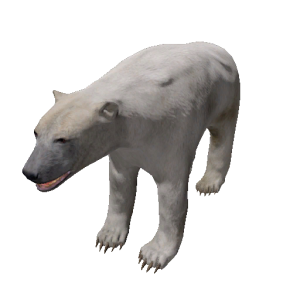 Npc polarbear 0.png