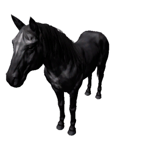 Npc horse 6.png