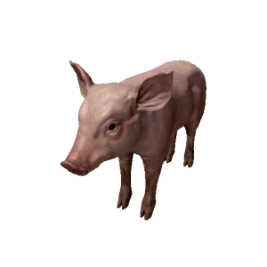 Npc piglet 0.png