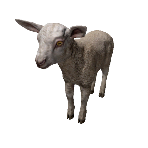 Npc lamb 0.png
