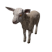Npc lamb 0.png