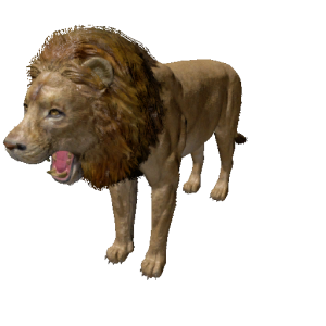 Npc lion 0.png