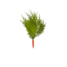 Plant carrot s0.png
