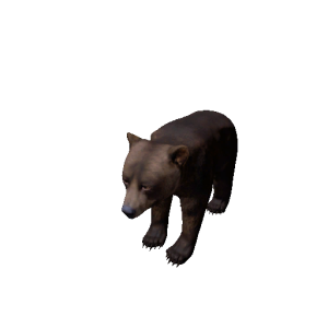 Npc bearcub 0.png