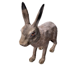 Npc hare 0.png
