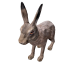 Npc hare 0.png