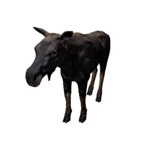 Npc moose 0.png