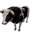 Npc bull 0.png