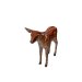 Npc deercalf 0.png