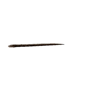 Npc snake 0.png