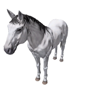 Npc horse 5.png