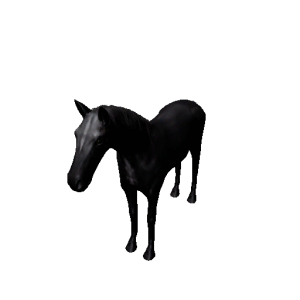 Npc foal 11.png