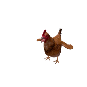 Npc chicken 1.png